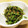 ぴぴぶた's cooksnap of when they made ★小さなおかず★豆苗の胡麻和え.