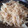 つちぶた７７'s cooksnap of when they made 大根の梅肉和え.