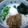 バウンド's cooksnap of when they made 簡単激ウマ冷やしうどん.