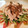 CaramelMacchiato's cooksnap of when they made ごま屋さんの簡単！棒々鶏.