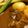 olive11's cooksnap of when they made 夏野菜たっぷりのビーフシチュー.