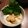 kota77's cooksnap of when they made 食感トゥルンだし汁絶品松茸と鶏茶碗蒸し.