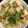 こたつねこくん's cooksnap of when they made 高野豆腐と豆苗のごま油炒め.