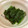 papikun's cooksnap of when they made ほうれん草のごまぽんかけ.