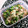 Nyat's cooksnap of when they made 夏！レンジで5分！おくらとえのきの梅和え.