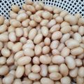 志保嬢's cooksnap of when they made スイッチ・ポン☆　炊飯器で茹で大豆.