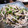 mioly's cooksnap of when they made 安い！早い！ウマイ！塩こぶ炒め◎.
