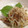まーきー♪'s cooksnap of when they made もやしと納豆の梅和え.