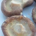 上手にできるかな's cooksnap of when they made 原木しいたけの網焼き.