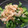 naomickey's cooksnap of when they made ゴーヤのさっぱり漬け.