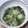 ♡ともりん's cooksnap of when they made もずく酢とオクラのフワとろ和えもの.