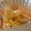 Kαi＊MαMα's cooksnap of when they made 離乳食後期～鮭の味噌マヨ焼き.