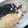 鬼嫁ちーちゃん's cooksnap of when they made 本格！鰹節でだしをとった鍋焼きうどん.