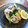 真さん's cooksnap of when they made 鶏ハムでさっぱり和風スパ.