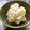 Satoco❋'s cooksnap of when they made 白ゴーヤのだし酢漬け～箸休めに～.