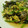 cookingAbu's cooksnap of when they made ●小松菜とアサリのあんかけ炒め●.