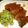 莉彩パパ's cooksnap of when they made いなだの刺身のごま漬け.