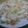 pasa's cooksnap of when they made 白菜の豆乳煮☆グラタン風.
