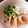 蒼の雫sp's cooksnap of when they made 鶏とお揚げの中華粥.