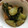 たろ１１１１'s cooksnap of when they made ☆簡単節約☆中華風☆たたききゅうり☆.