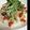 yoshi115's cooksnap of when they made 照りチキdeちらし寿司.