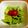 チュロッキー♪'s cooksnap of when they made さしすすまドレッシング｡.:*･ﾟ☆.。.