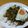 はっちyあいら's cooksnap of when they made 余り野菜で☆タイ風ガパオライス☆.