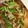 クック8OMYJ0☆'s cooksnap of when they made 栄養満点♪アスパラと竹輪のごまごま炒め☆.