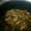 はるか2014's cooksnap of when they made ◆新生姜と干し椎茸の佃煮◆.