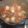 キラカエラマイラ's cooksnap of when they made しっかり味がおいしい！筑前煮☆.