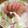 kazunfm's cooksnap of when they made 冷んやり☆梨の赤ワイン漬け.