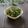 まろんかふぇ's cooksnap of when they made 春菊の大量消費！ツナと春菊のサラダ.