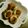 きっこひめ's cooksnap of when they made 簡単！ささみでヘルシー♪肉巻き野菜.