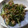 まいちゃamnos's cooksnap of when they made 水菜と豚肉の和え物.