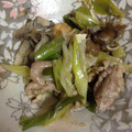 みこうすけ's cooksnap of when they made ★豚肉と白ネギの甘辛炒め★.