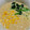 めめぼ's cooksnap of when they made 仰天☆○○○しょうゆラーメン.