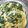 kaori5548's cooksnap of when they made ほうれん草のクリームパスタ.