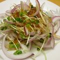ぐーたらレシピ研究所's cooksnap of when they made 紫玉ねぎとかいわれ菜のサラダ.
