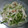 ナーちゃん's cooksnap of when they made きゅうりとささみの梅干和え.