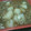 70cafe's cooksnap of when they made お弁当に大根の鶏そぼろ餡かけ.