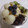 ぐぅ＆くぅ♡'s cooksnap of when they made 簡単♪白玉とコーンフレークのパフェ.