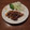 Ｌｅｇｅｎｄ's cooksnap of when they made 豚の生姜焼き.