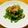有ちん's cooksnap of when they made 苦くないよ(*´ω｀*)ゴーヤのおひたし.