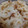 キコの台所's cooksnap of when they made 蓮根の梅煮.