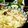 ｎｉｋｏ☆'s cooksnap of when they made 大根じゃこ飯.