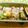 ととろ＆めい's cooksnap of when they made ズッキーニのチーズ焼き.