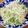 ザ•かーまん's cooksnap of when they made ぴりっと♪唐辛子の七味クリームパスタ♪.