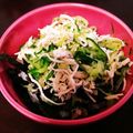 ぱちゃん◡̈'s cooksnap of when they made 鶏ササミとキュウリと大葉の梅さっぱり丼.