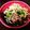 ぱちゃん◡̈'s cooksnap of when they made 鶏ササミとキュウリと大葉の梅さっぱり丼.