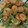 yuuumm's cooksnap of when they made 炒めて絡める、エビといんげんのオイマヨ☆.